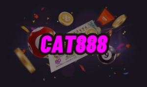 cat888